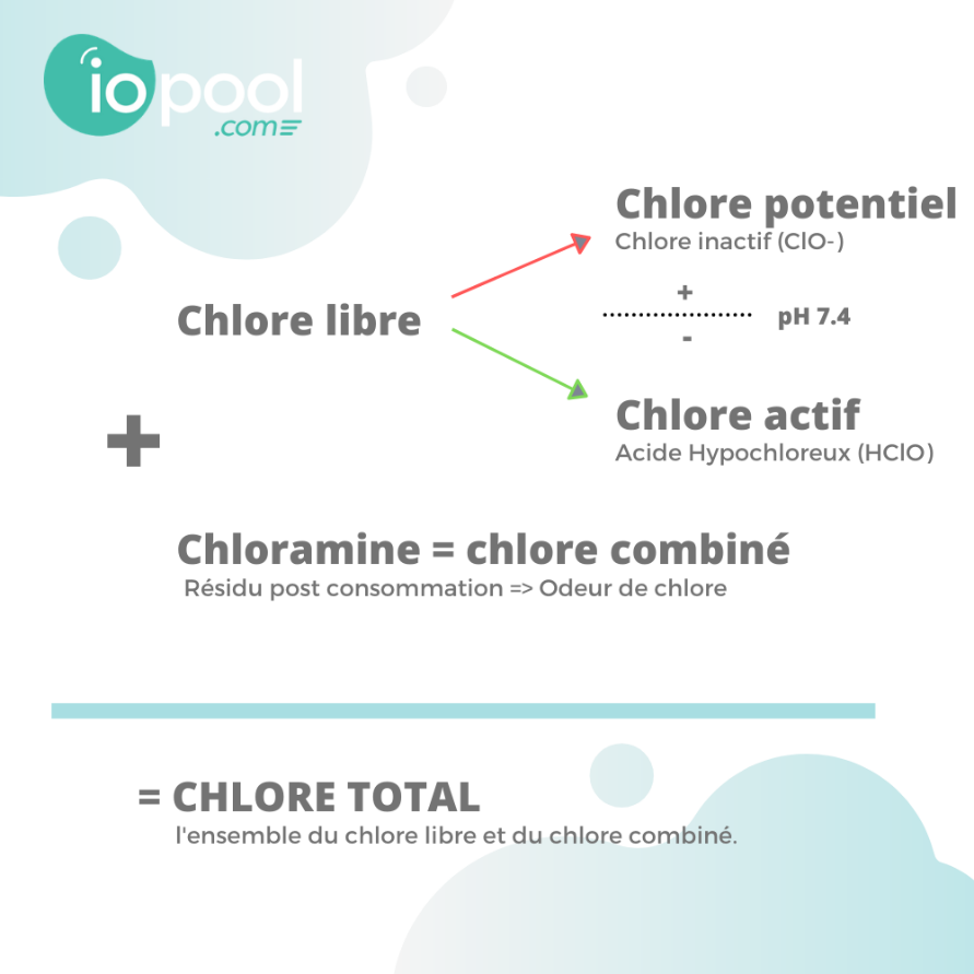 Schéma explicatif des interactions entre les différents types de chlore en contexte de piscine